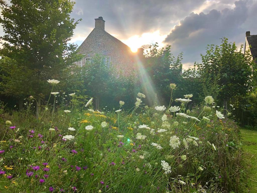 B&B Helena'S Hoeve Buggenum Bagian luar foto